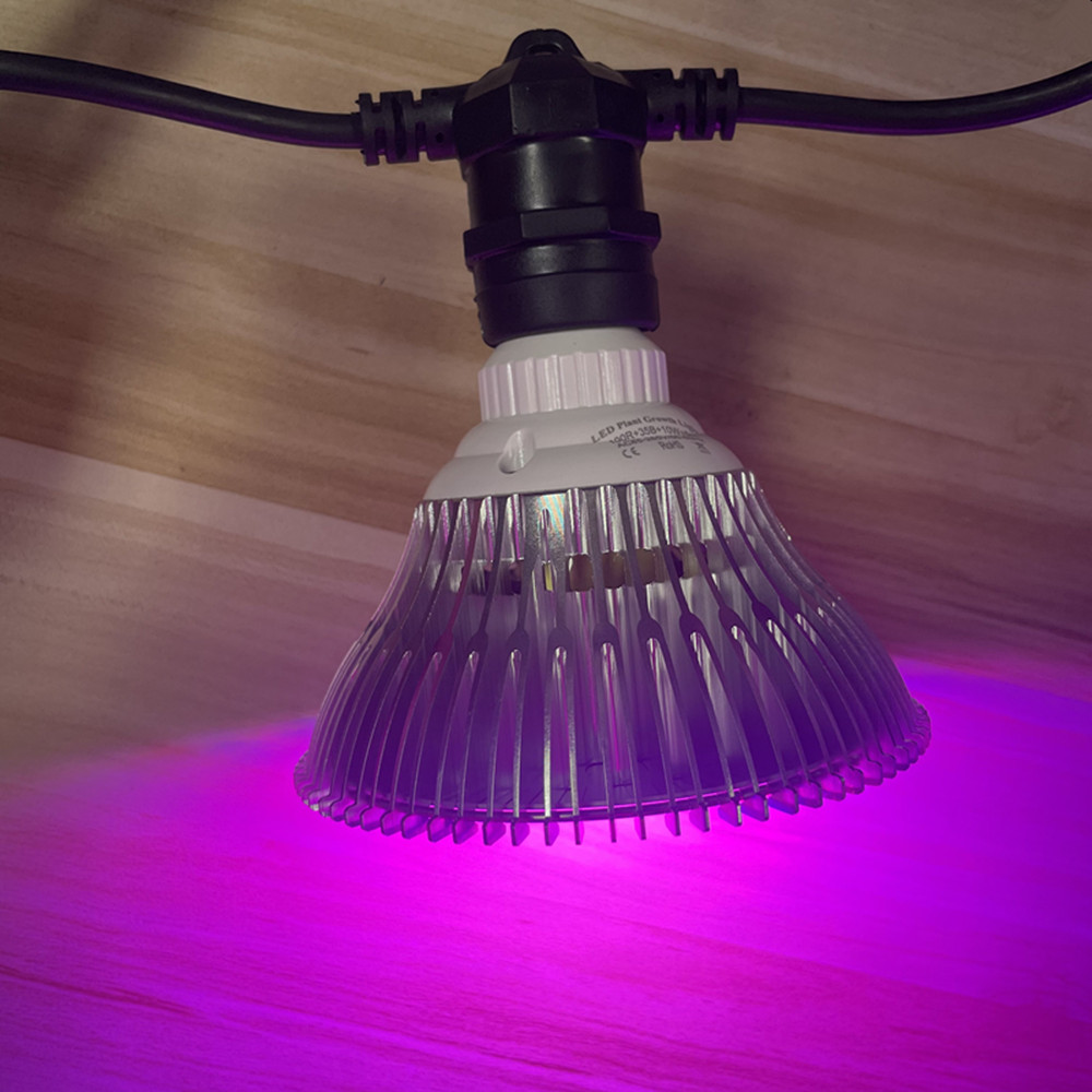 10M Cable LED String Commercia - Outdoor Lighting Extension Cord 评论和价格